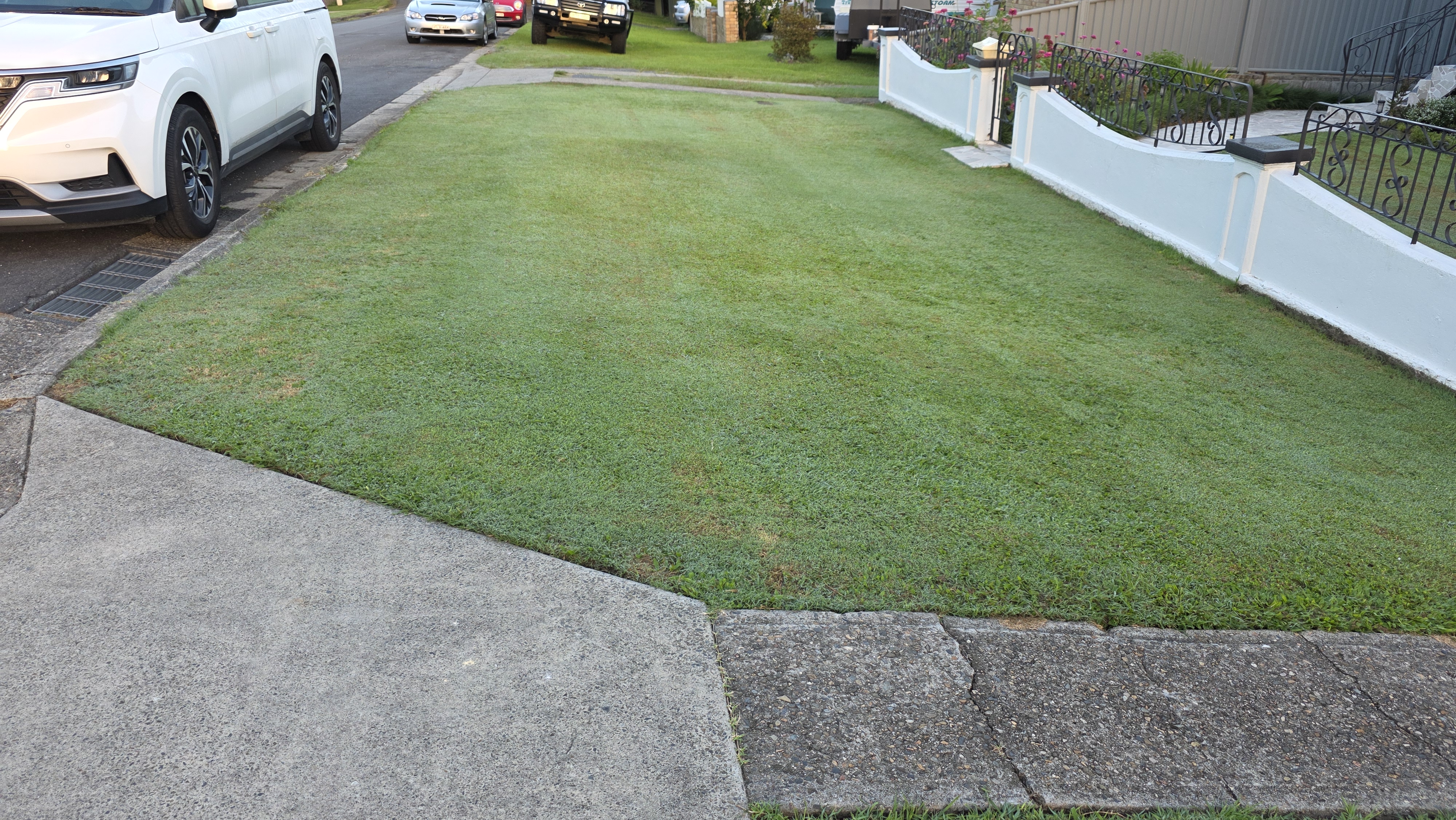 Lawn mowed with cylinder mower
