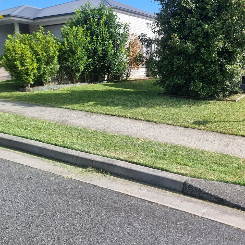 Freshly mown and edged front lawn along a residential street