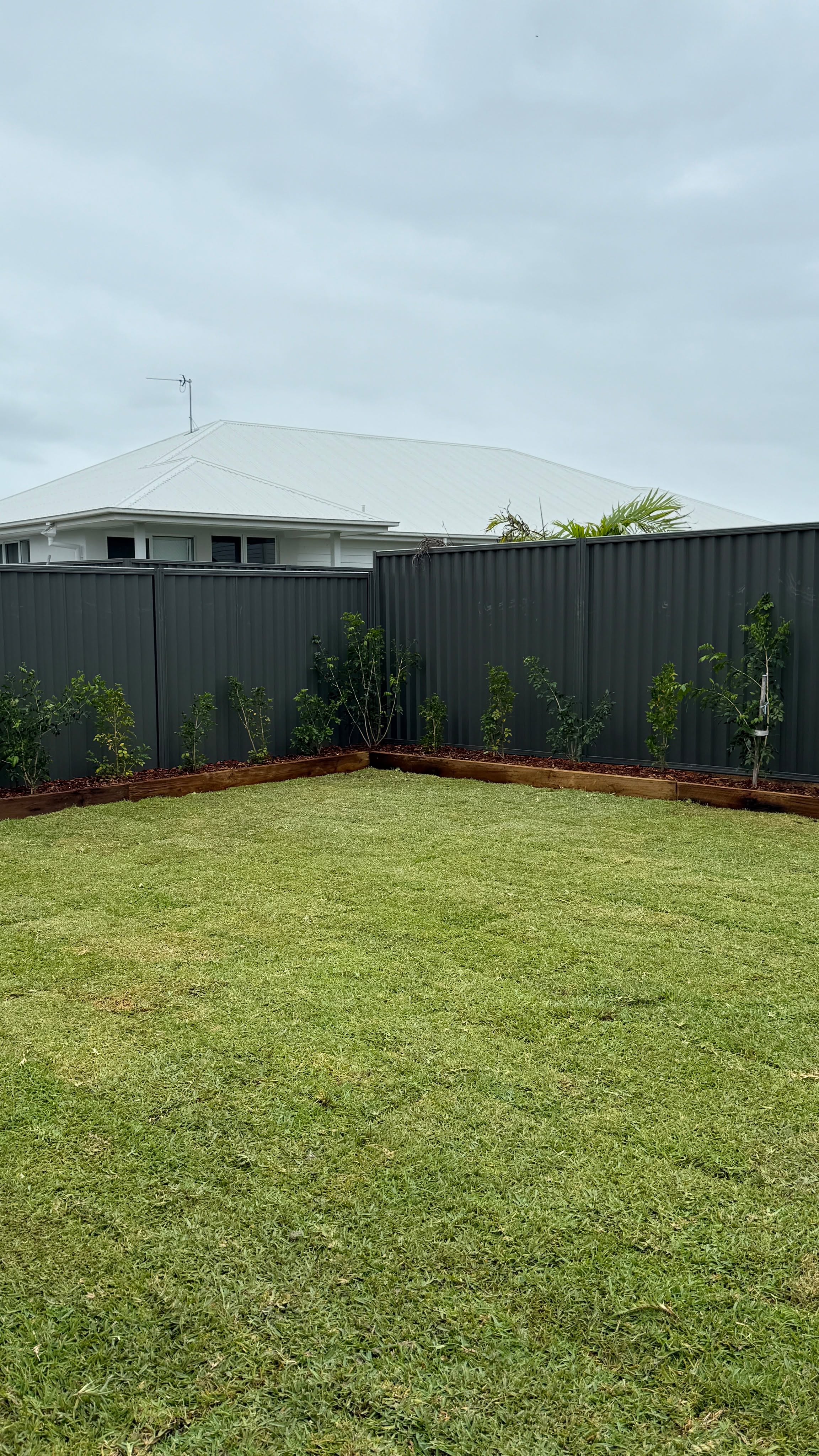 Turf in Cudgen at new build