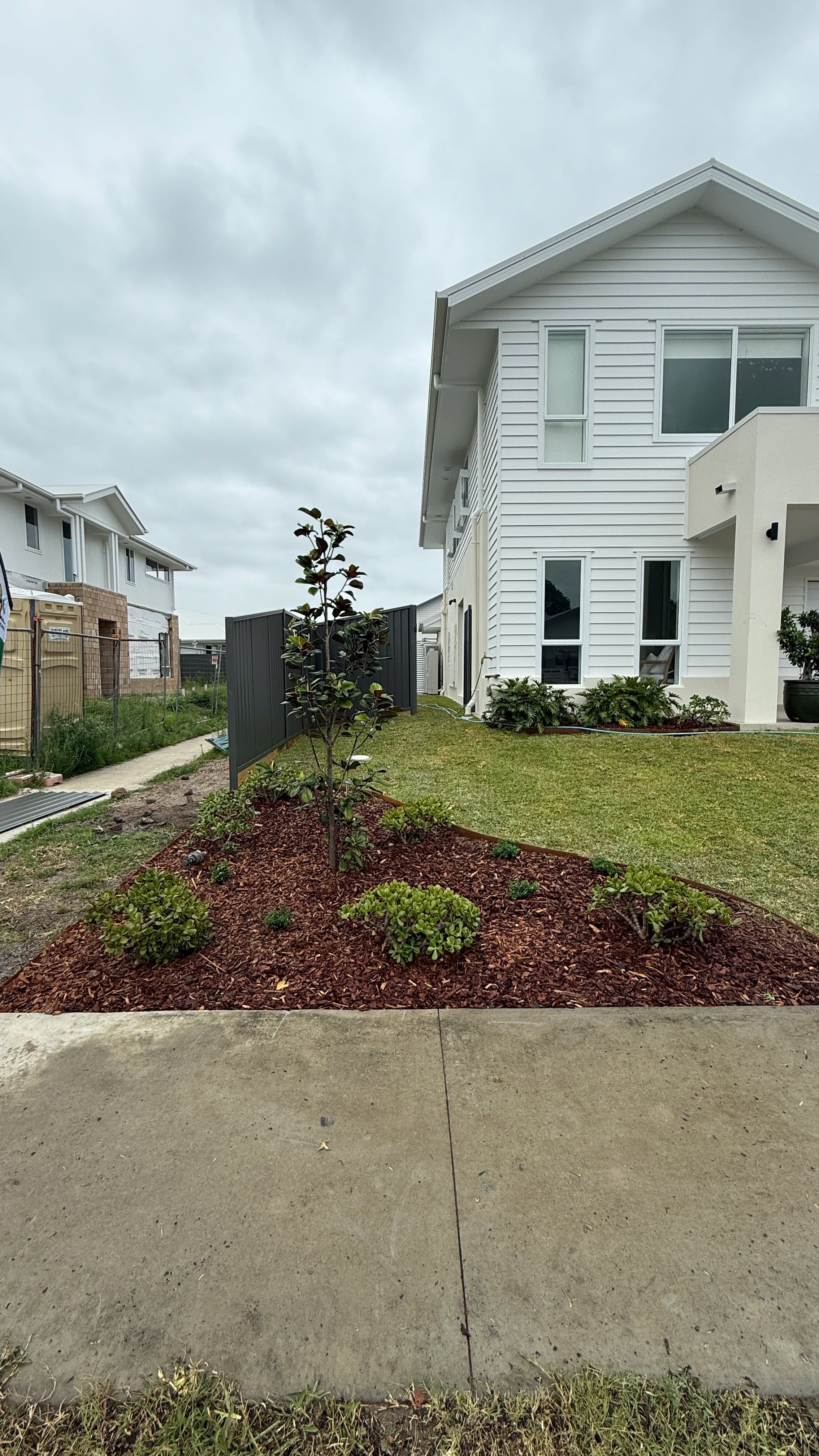 Feature tree in front yard of Casuarina new build